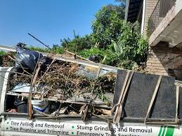 Same-Day Junk Removal Services in Williamstown, KY